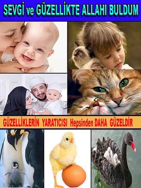 Allahın varlığının ispatı