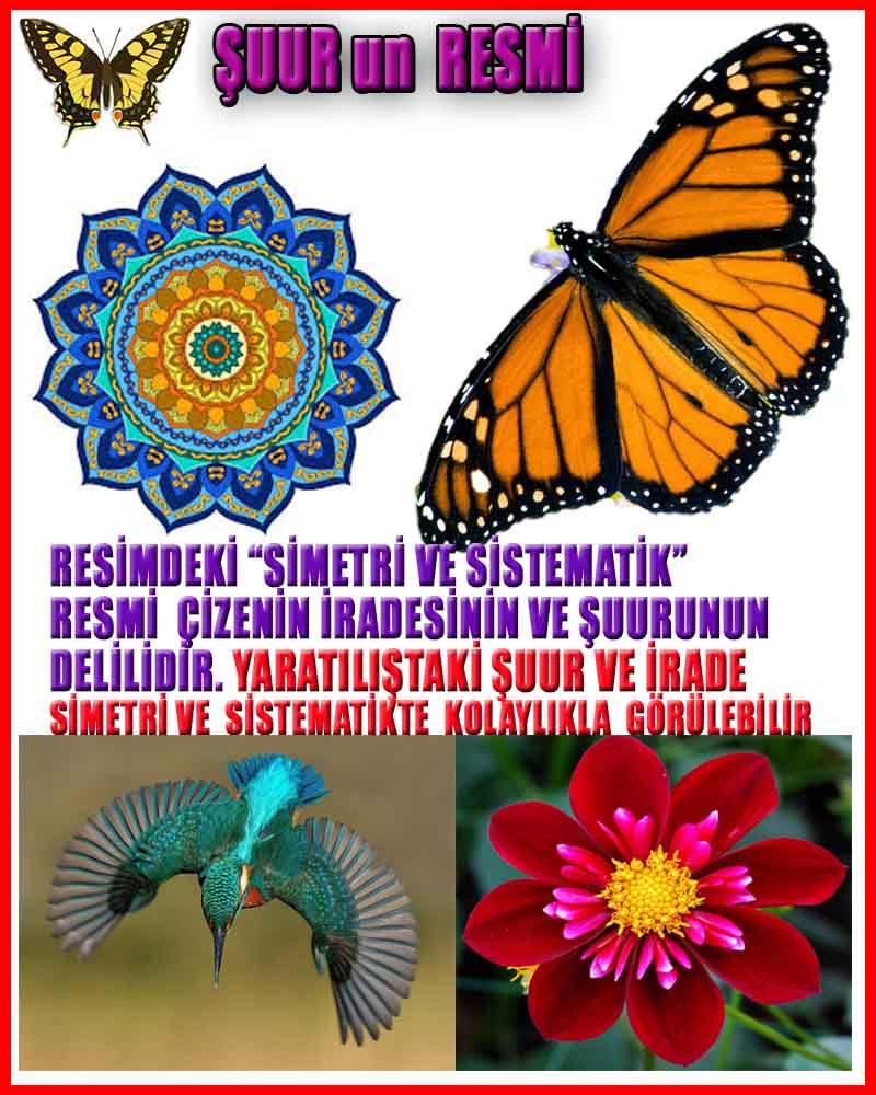 Allahın varlığının Delilleri