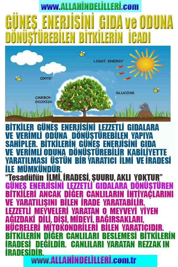 Allahın varlığının ispatı