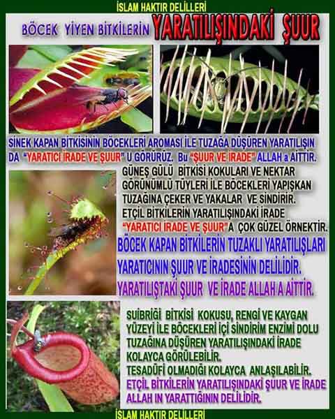 Allahın varlığının ispatı