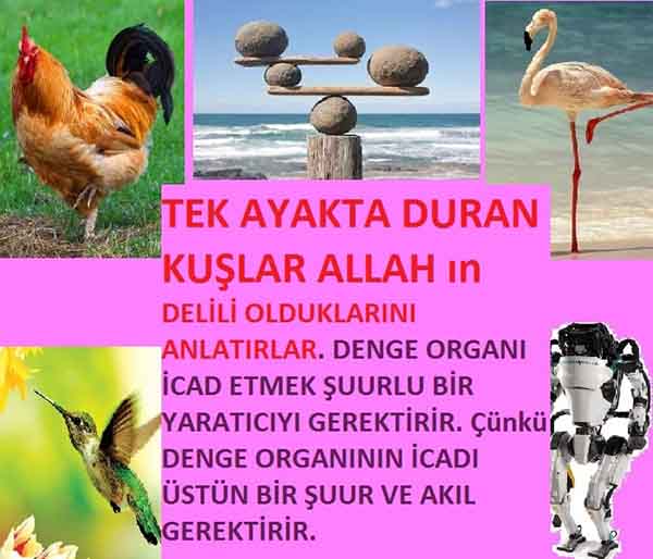 Allahın varlığının Delilleri