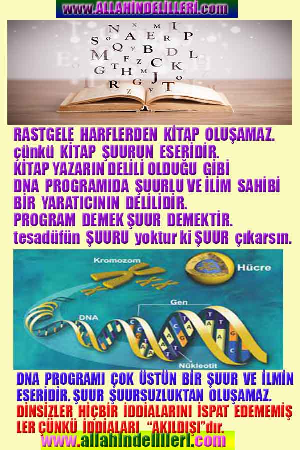 Allahın varlığının Delilleri