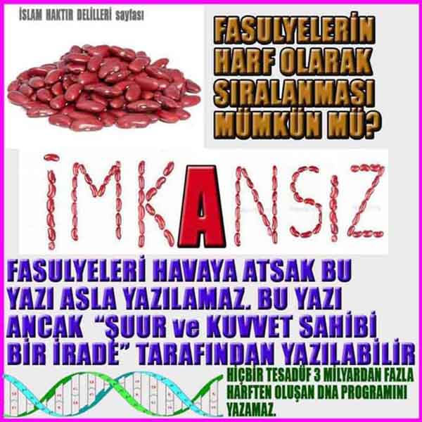 Allahın varlığının ispatı