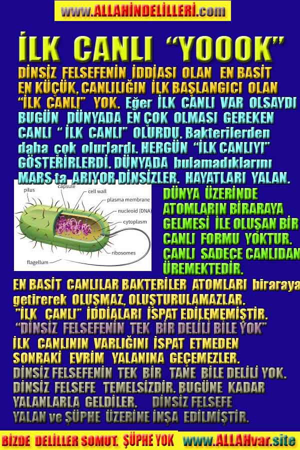 Allahın varlığının Delilleri