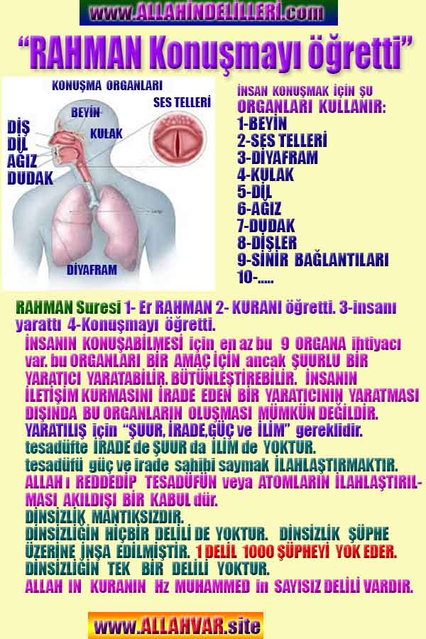 Allahın varlığının Delilleri